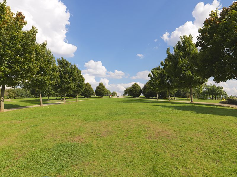 Ivy Gate- click for photo gallery